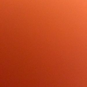 Meet your Posher, Rose